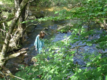 River Taw in Belstone Cleave