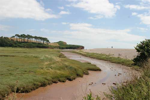 River Otter Estuary