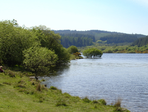 Fernworthy Reservoir