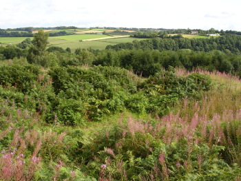 Heywood Castle bailey viewed from the motte