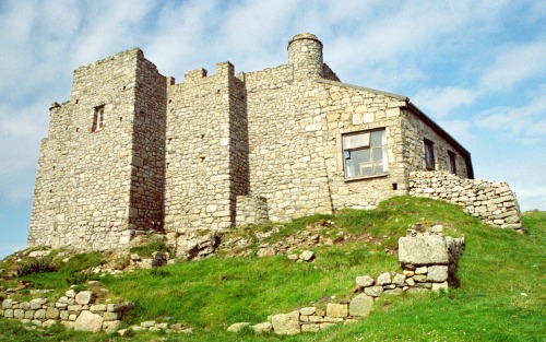 Marisco Castle
  keep