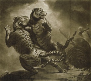 Tiger Hunting (after James Northcote)