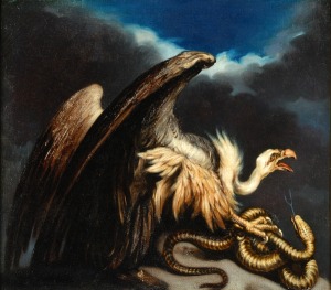 Vulture and snake
