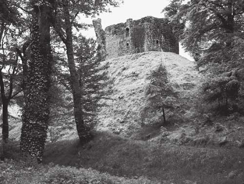 Okehampton Castle keep