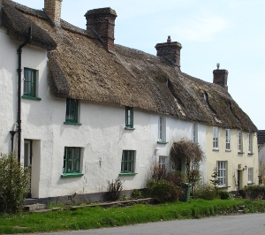 terrace of cob and thatch cottages in Sheepwash