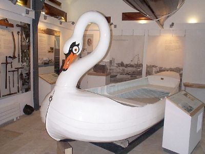 The last remainining Cygnet on display in Topsham Museum