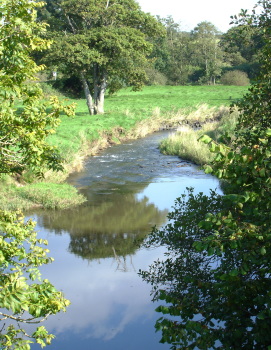 The upper Tamar viewed from Tamerton Bridge