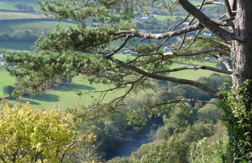River Torridge seen from Castle Hill